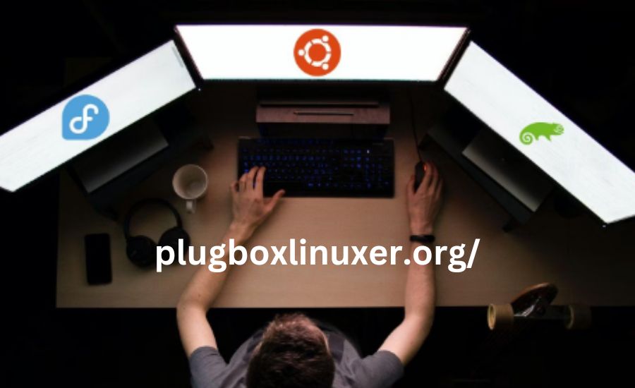 Plug Box Linux