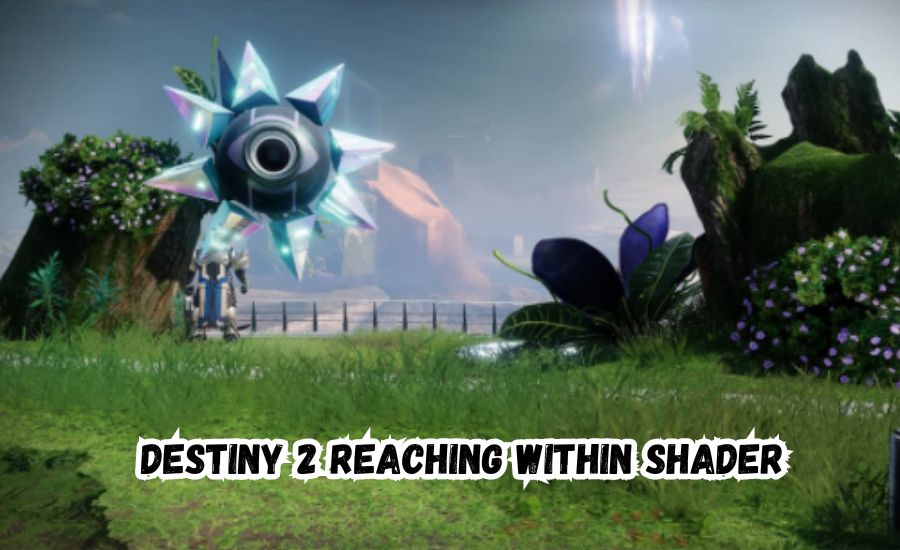 destiny 2 reaching within shader