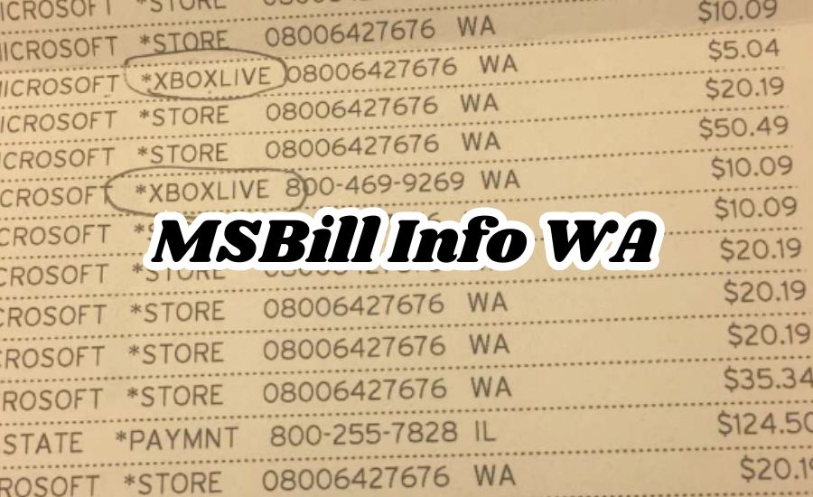 msbill info wa