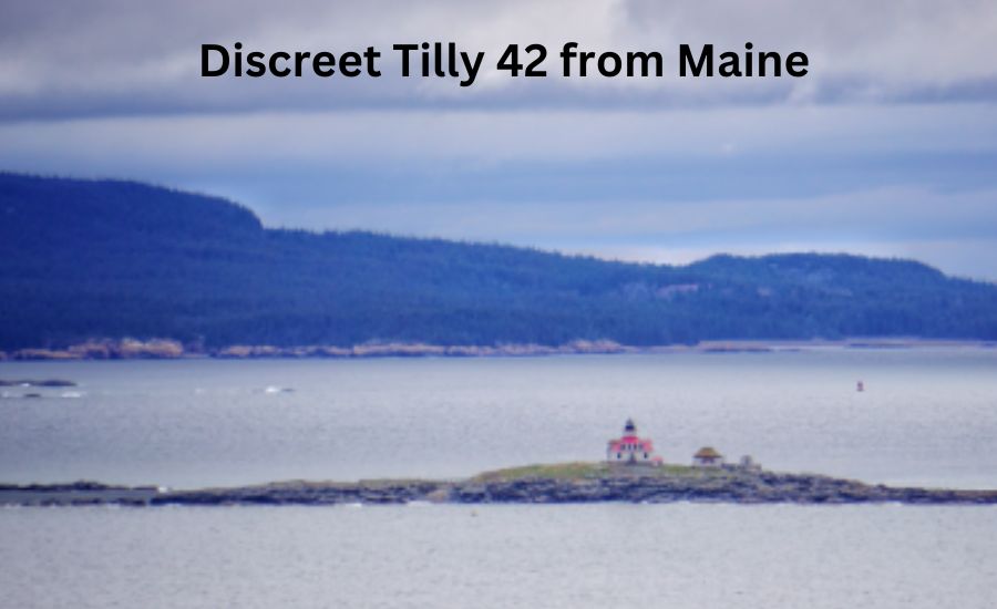 Discreet Tilly 42 from Maine