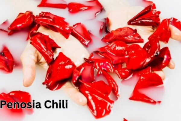 Penosia Chili