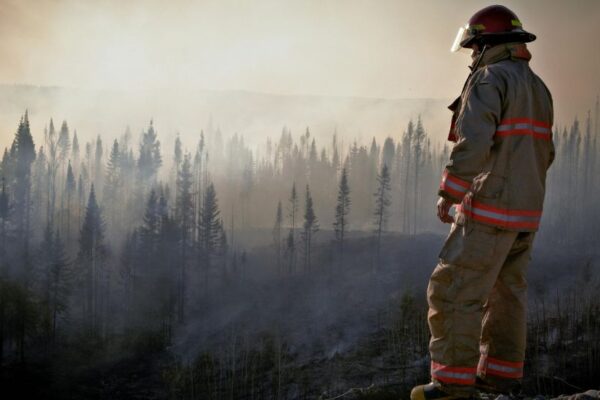 Firefighters