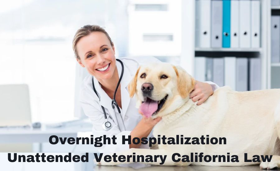 overnight hospitalization unattended veterinary california law