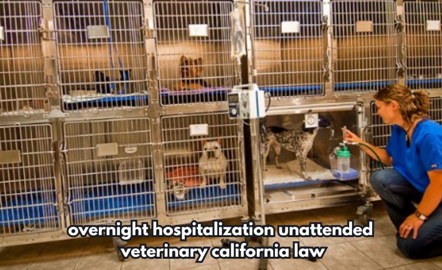 overnight hospitalization unattended veterinary california law