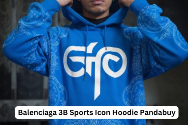 Balenciaga 3B Sports Icon Hoodie Pandabuy