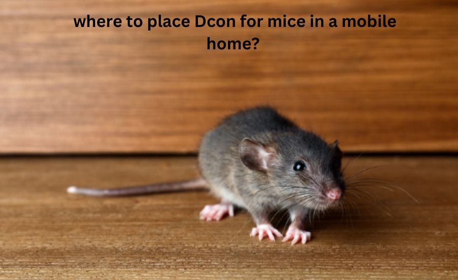 where to place Dcon for mice in a mobile home