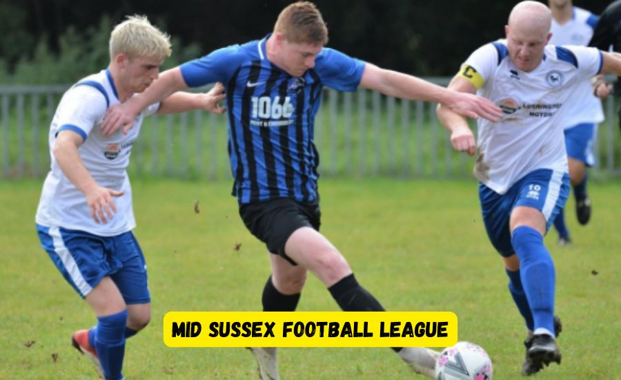 mid sussex football league